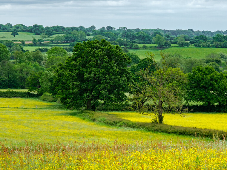 UK May '22 - Deference (Nick Drake) 009.jpg